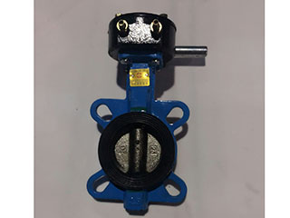 A体球板挂乙丙胶蜗轮蝶阀 (2)